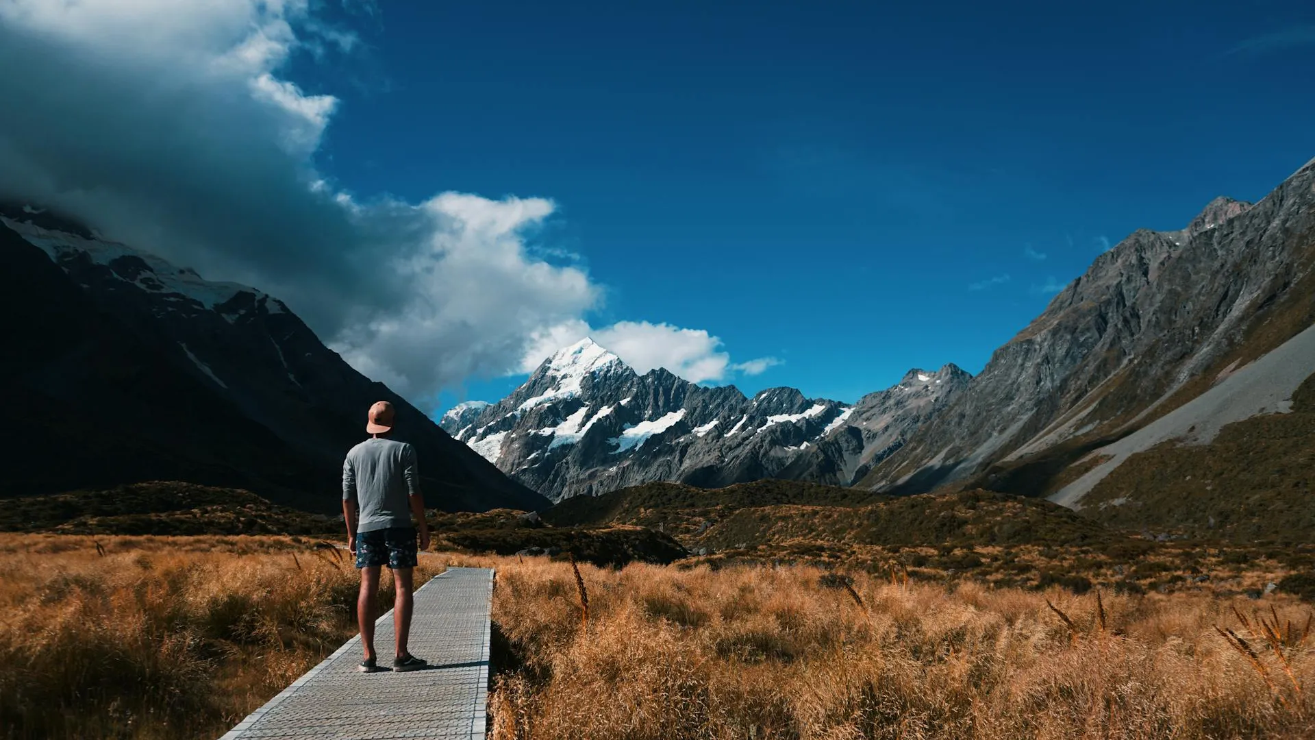 Mt. Cook
